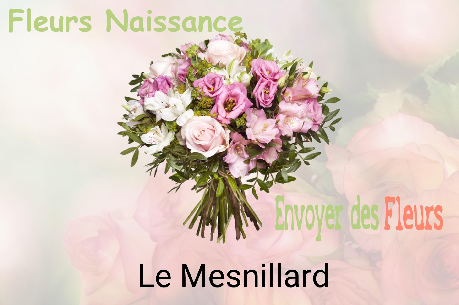 Bouquet de fleurs de naissance livré à Le Mesnillard